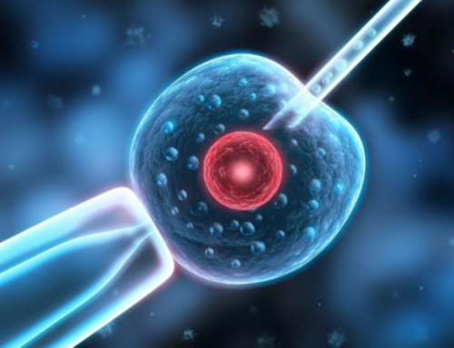 2026武汉单身供卵试管医院排名及详细介绍,助您实现生育梦想