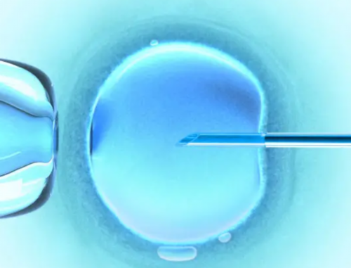 2026最新四川供(借)卵试管婴儿公立医院名单一览-附排队时间明细						,哪个医院做代孕