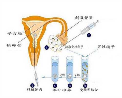 40岁做三代供卵试管成功的案例
