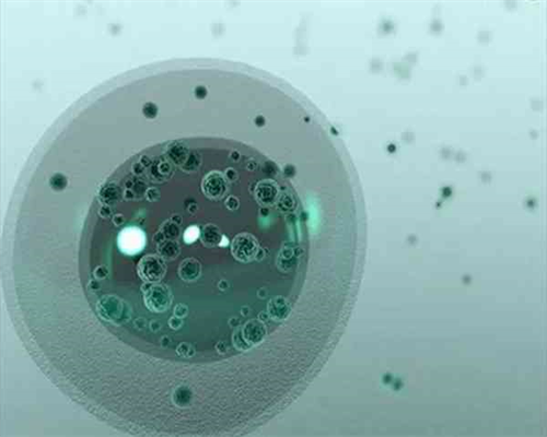 2026广西试管助孕成功率:三甲医院实力比拼与排名参考